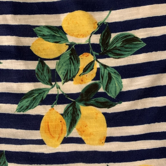 Westport Sleeveless Blue & White Striped Shirt with Clusters of Lemons - Picture 10 of 11